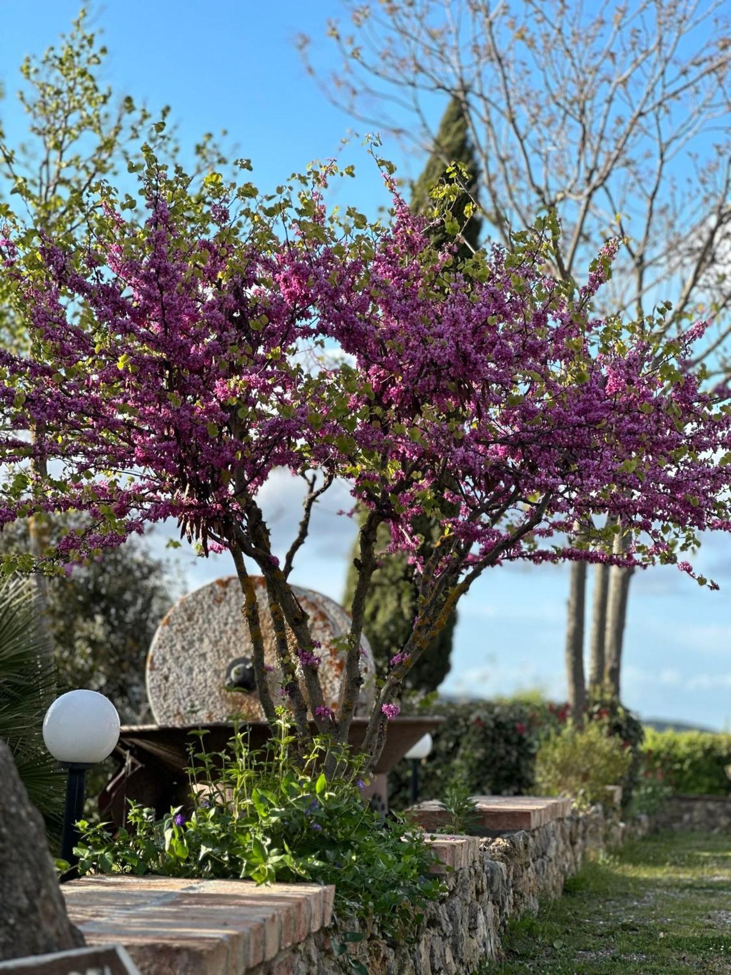 Antico Borgo Il Cardino Bed & Breakfast San Gimignano Ngoại thất bức ảnh