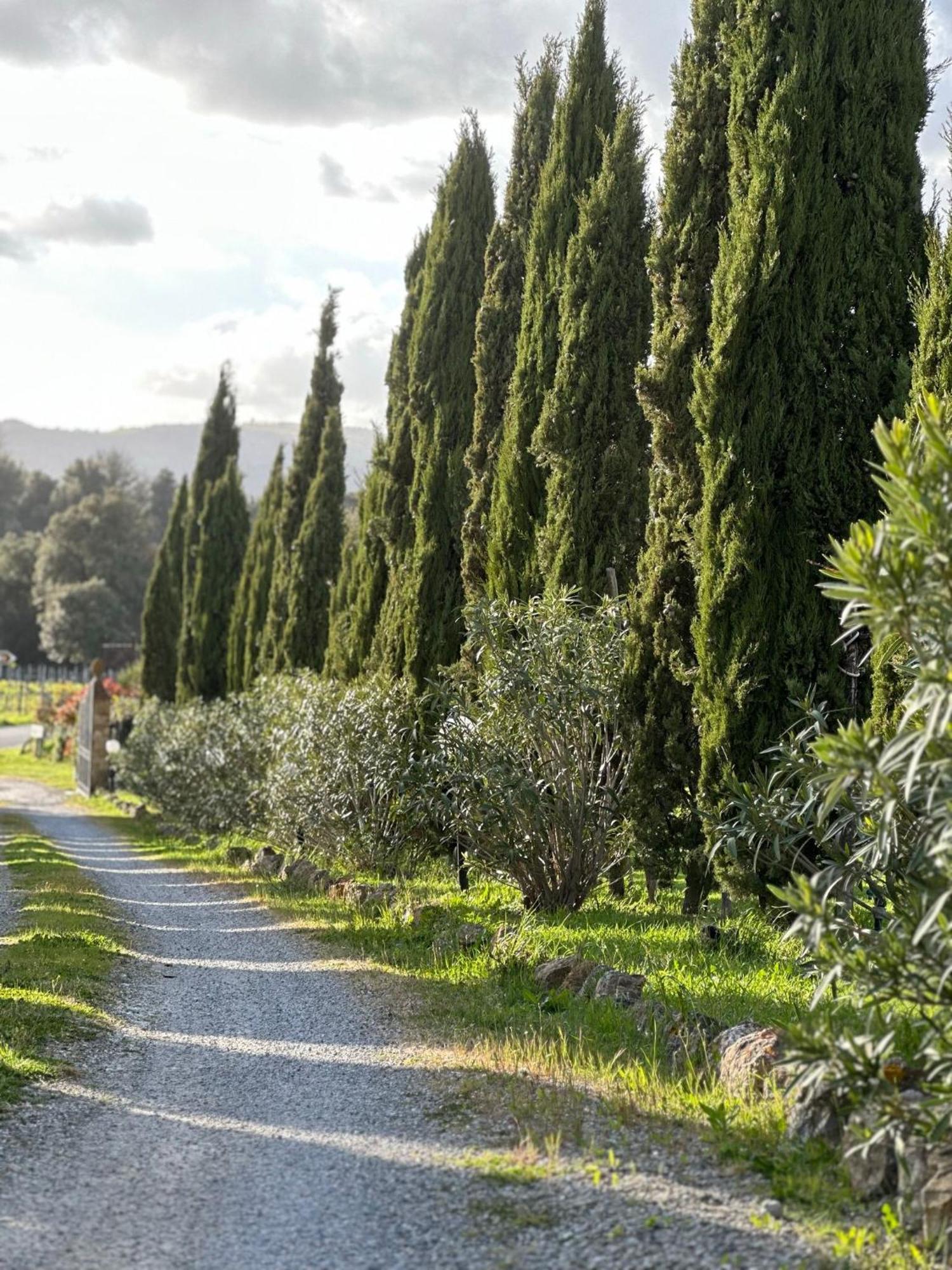 Antico Borgo Il Cardino Bed & Breakfast San Gimignano Ngoại thất bức ảnh